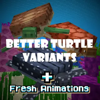 Fresh Better Turtle Variants