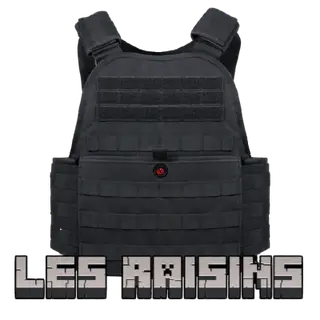 [SBW] LesRaisins armor compatibility