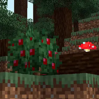Dungeons Sweet Berry Bush