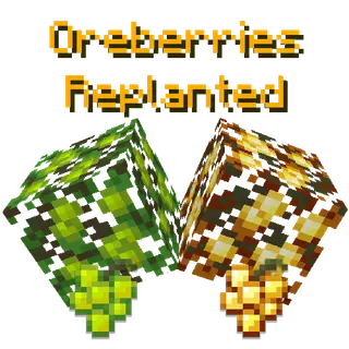 Oreberries Replanted