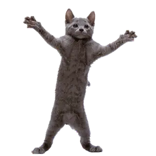 Jammies