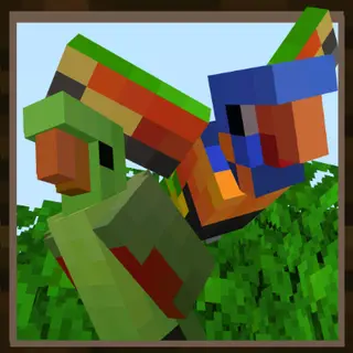 Aussie Parrots