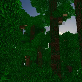 Bushy Bushier Leaves