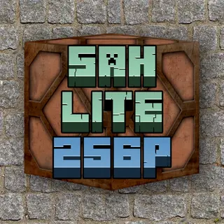 SAH Lite 256p