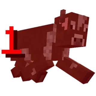 ToroHealth Unofficial