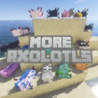 More Axolotl