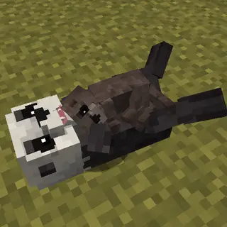 Animal Garden - Sea Otter