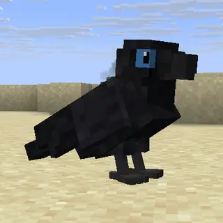 Animal Garden - Common Raven