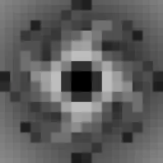 Singularities