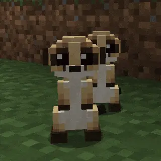 Animal Garden - Meerkat