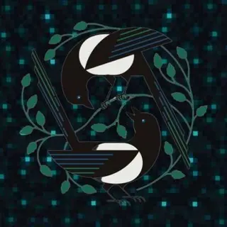 Sculked Magpie Origin