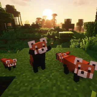 YDM's Red Panda