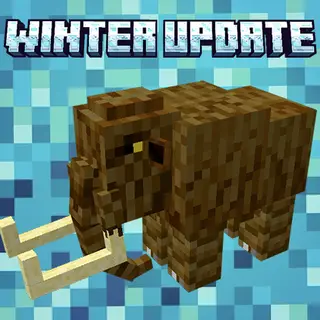 Winter update