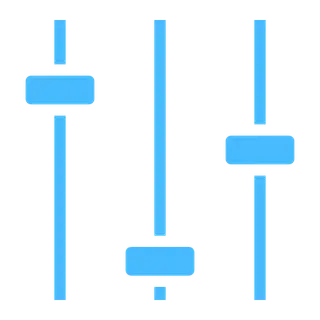 ServerLevelType