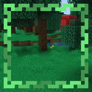 Magical Forest
