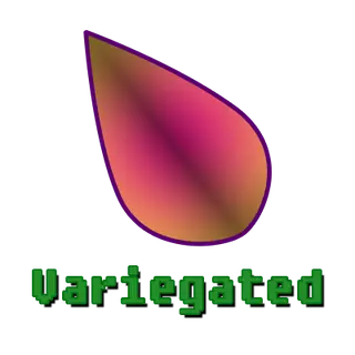 Variegated
