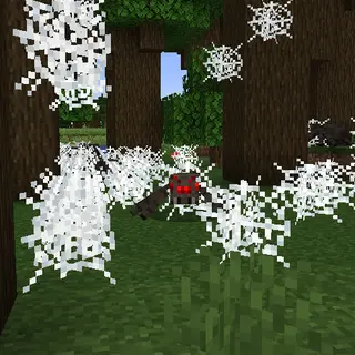 Spiders Produce Webs