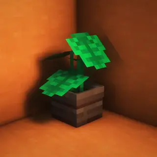 Pot Leaves