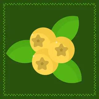 Golden Berries