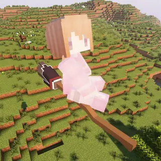 Elaina'sBroom