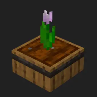 Sprout