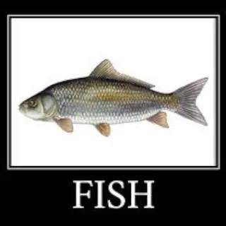 FISH Pack