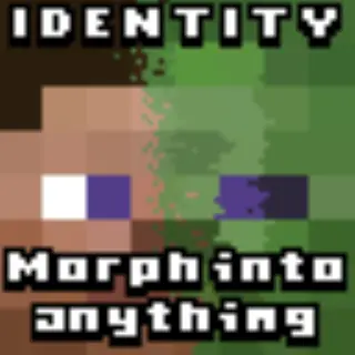 Identity 2 (Morph)