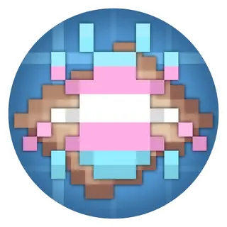 Estrogen Patches