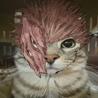 Jujutsu Slop
