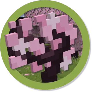 Biome Backport (Some 1.20 Features)