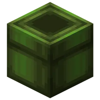 WenXin's Warp Pipes