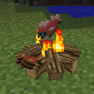 Simple Camp Fire