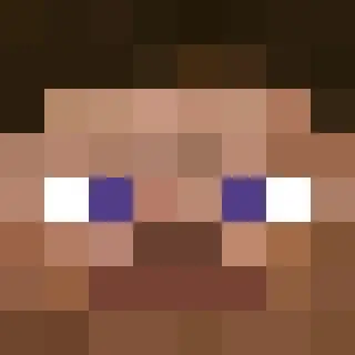 Everyone is Steve