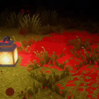 Blood & Guts