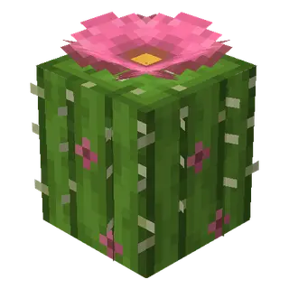 Mo's Desert Bloom