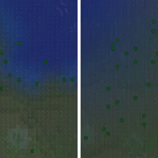 Better Biome Blend