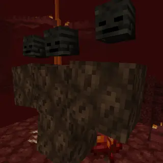 Wither Spawn Animation