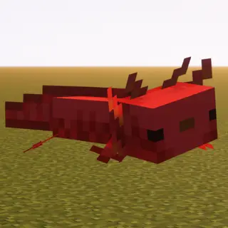 Red Axolotl