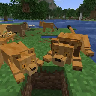 Animal Garden - Lion