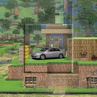 Birds Car