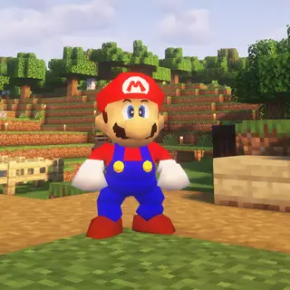Super Mariocraft 64