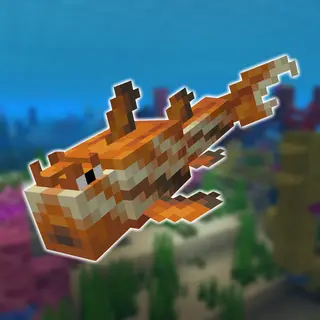 Unusual Fish