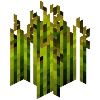 Old Wheat