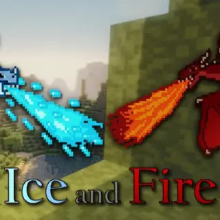 Dragon Wings: Dragons and more!