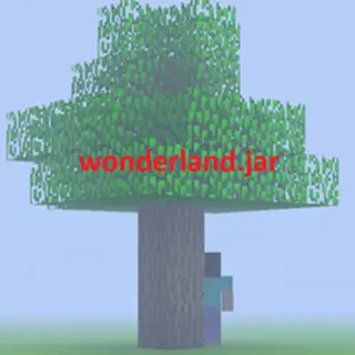 WONDERLAND AND ANOMALY+