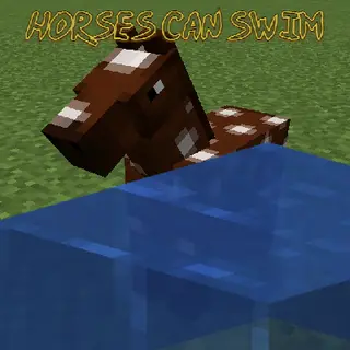 Horses can Swim