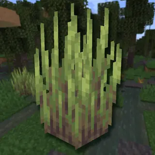 Wetland Whimsy