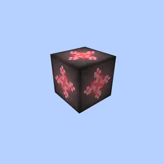 Project Expansion