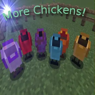 More Chickens