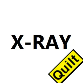 X-RAY Unlimited Quilt